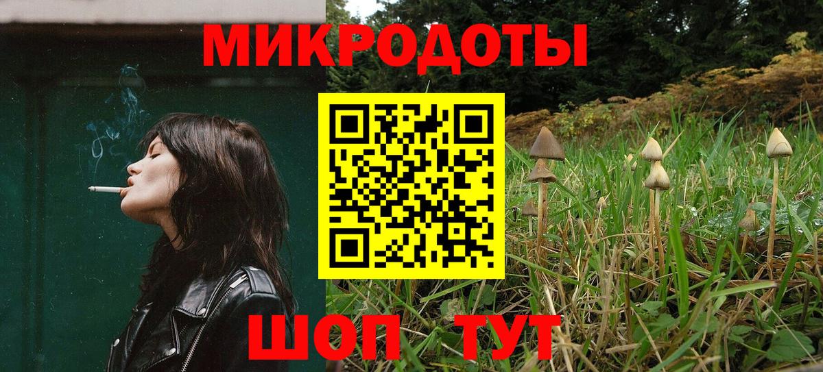 Псилоцибиновые грибы MAGIC MUSHROOMS  Псилоцибиновые грибы Magic Shrooms  Вход с VPN  Елец 